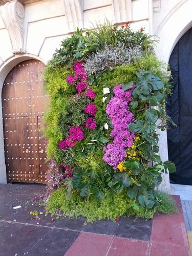 pared de flores y plantas