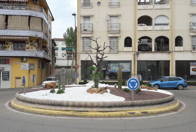 árbol en rotonda