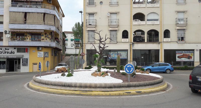 árbol en rotonda