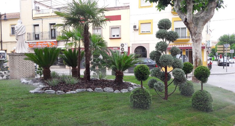rotonda con arboles