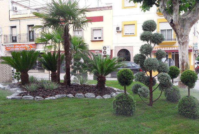 rotonda con arboles
