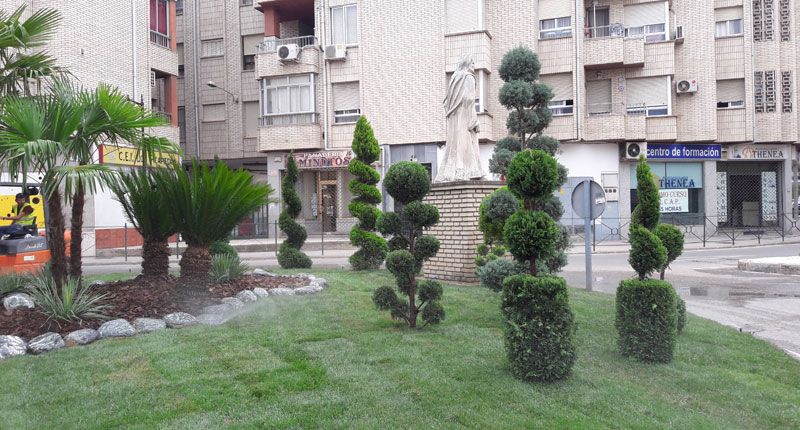 rotonda con plantas