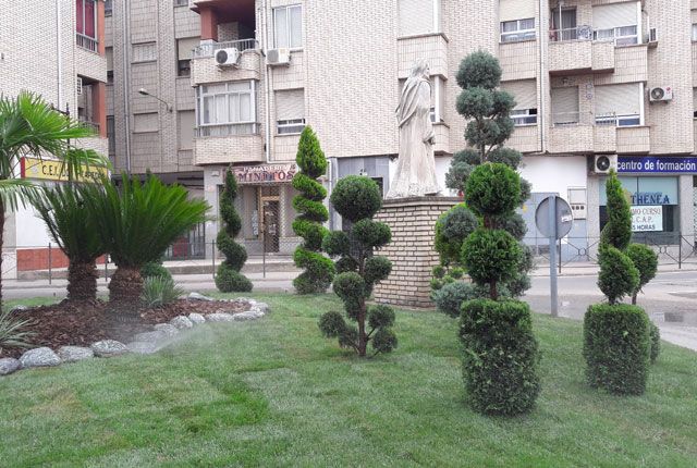 rotonda con plantas